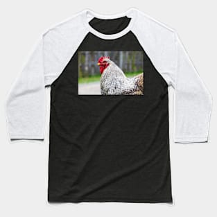 Cochin chicken closeup Baseball T-Shirt